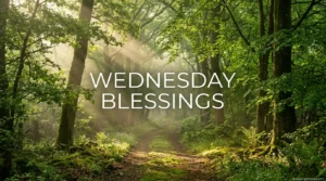 Wednesday Blessings